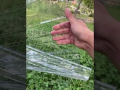 Polycarbonate roof sheet